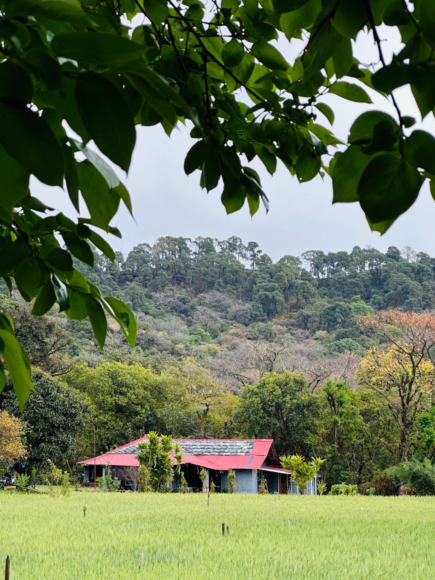 Dreamwoods A Travellers Farm Vandrarhem Dharamshala Exteriör bild
