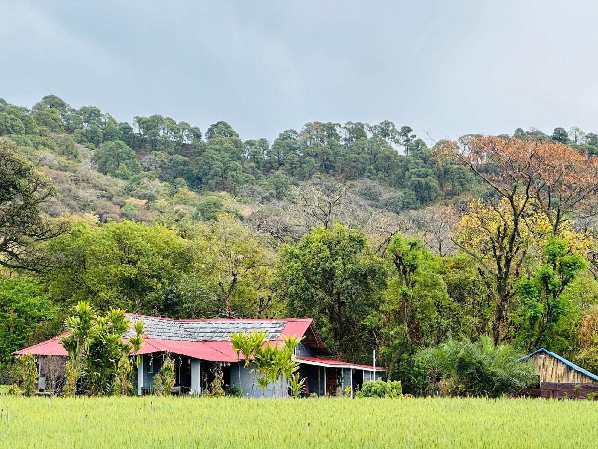 Dreamwoods A Travellers Farm Vandrarhem Dharamshala Exteriör bild
