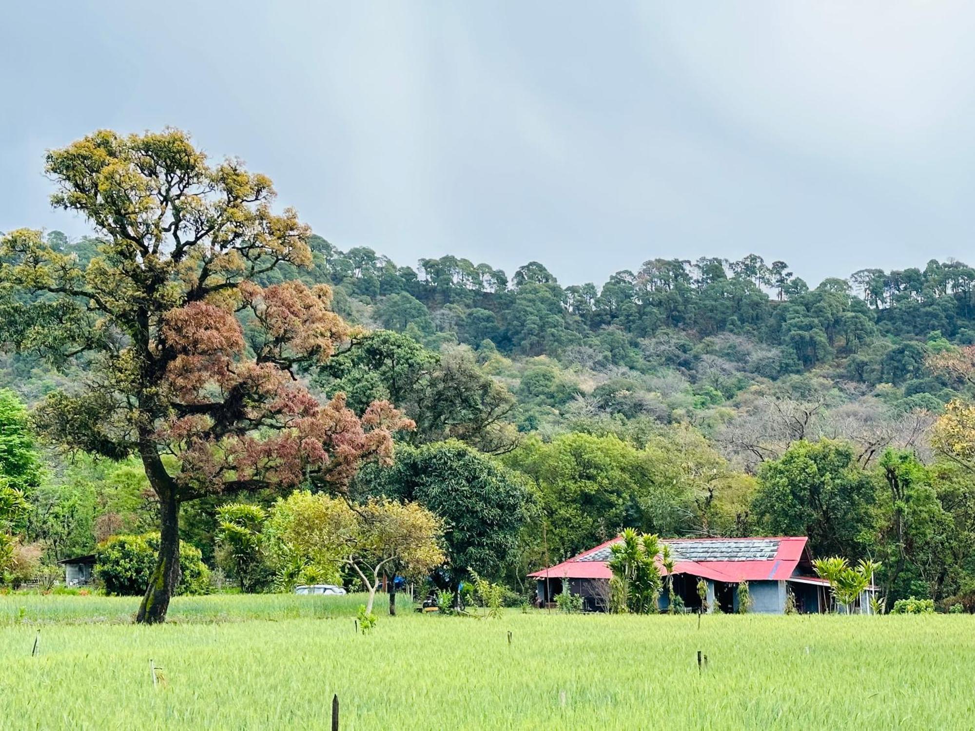 Dreamwoods A Travellers Farm Vandrarhem Dharamshala Exteriör bild
