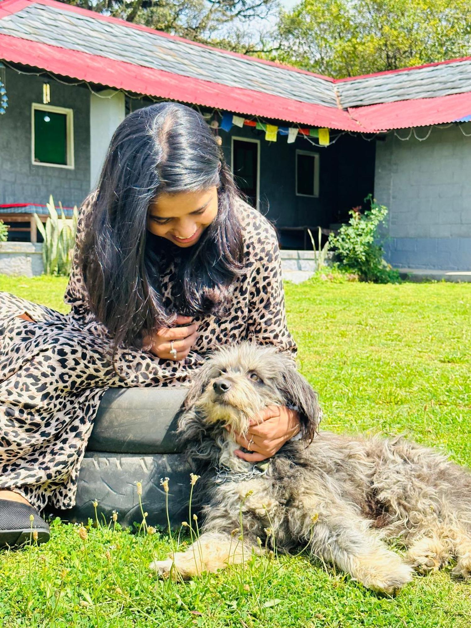 Dreamwoods A Travellers Farm Vandrarhem Dharamshala Exteriör bild